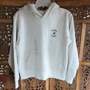 Alpine Design Men's Light Gray Hoodie